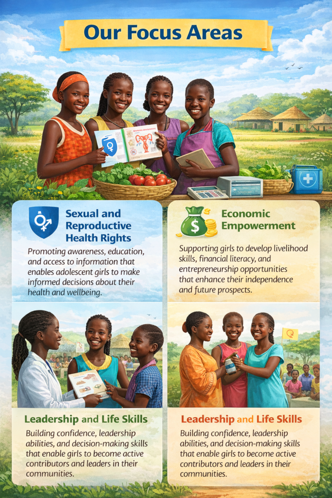 weipd focus area of she shoars initiative